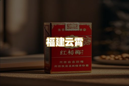 福建云霄